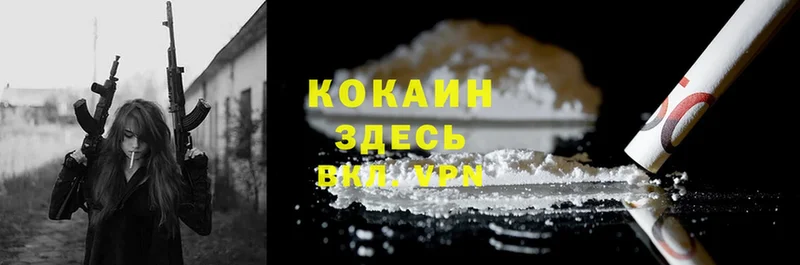 цены   Короча  Cocaine Fish Scale 